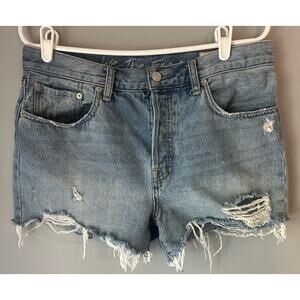 Free People / We the Free High Rise Distressed Denim Shorts size 31